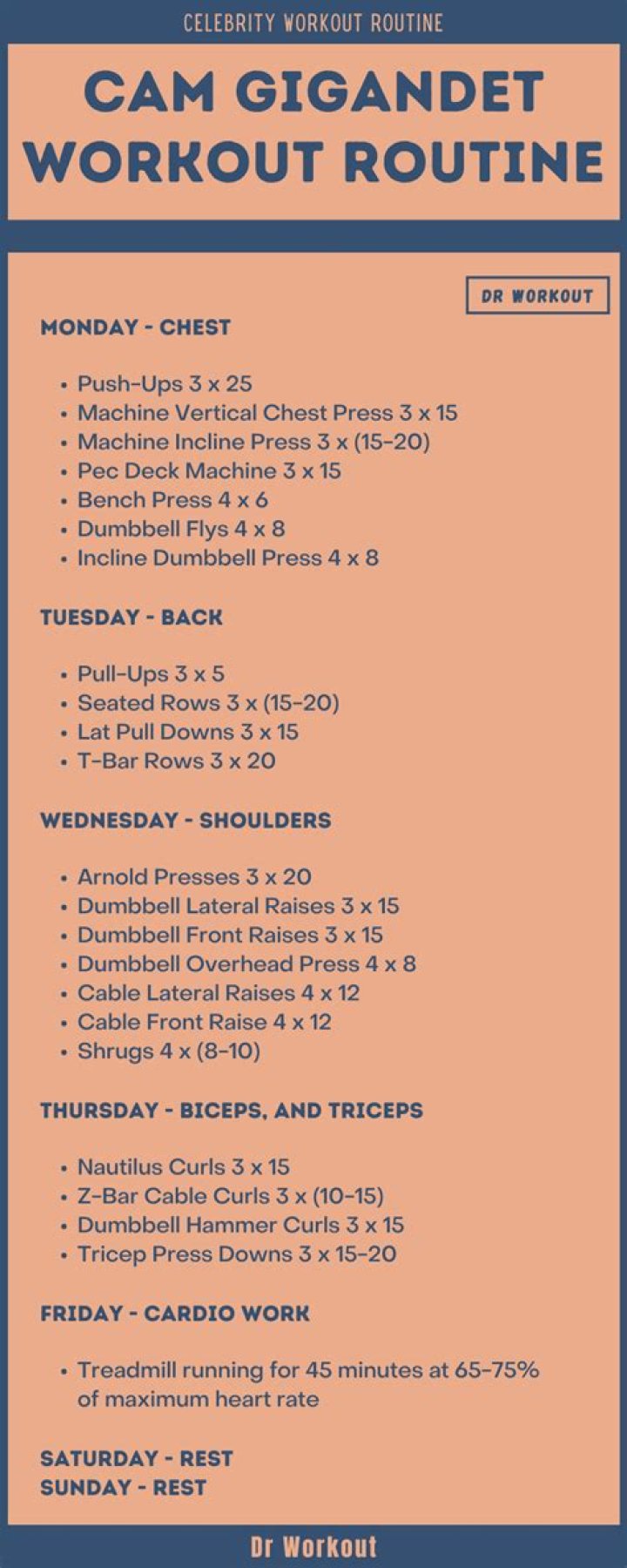 Cam Gigandet Workout Routine