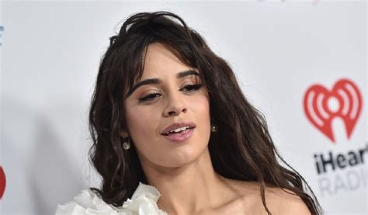 Camila Cabello Shares Rare Swimsuit Photo With Book "Papi" — Celebwell