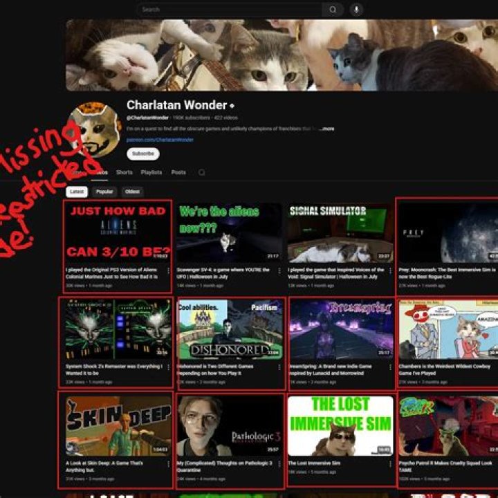 Charlatan Wonder Статистика видео