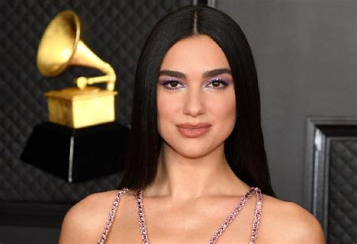 Dua Lipa Flaunts Abs in Butterfly Crop Top  — Celebwell