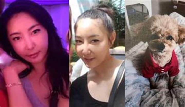 Missing Dami Kim Update: San Mateo Police Seek Help in Finding Her