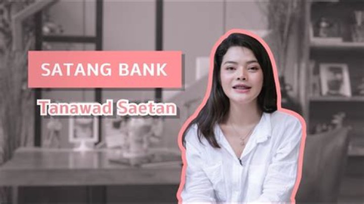 SATANG BANK Youtuber overview